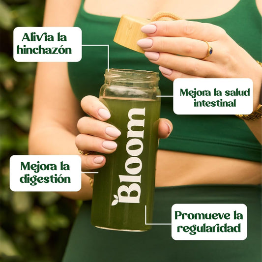 BLOOM REGULADOR DIGESTIVO